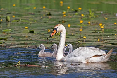 Familienausflug