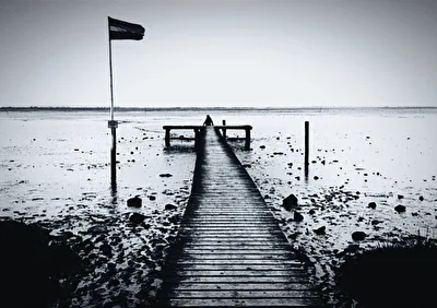 Enjoy the silence