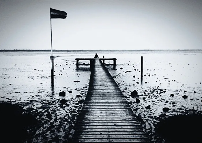 Enjoy the silence