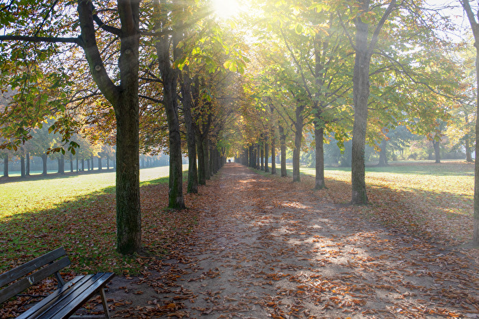 Der Schlosspark