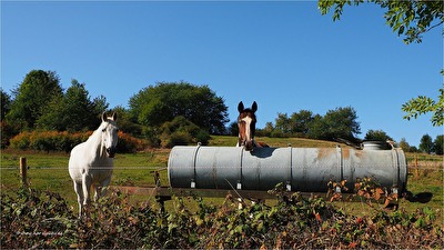 sind ganz schön neugierig