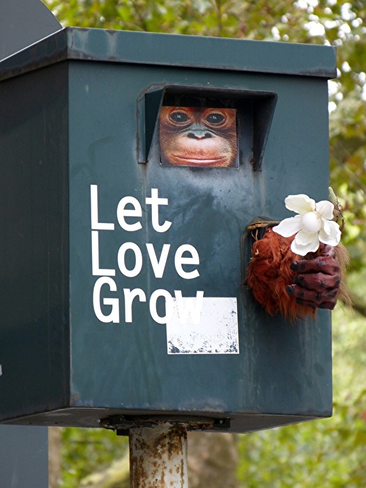 Let Love Grov