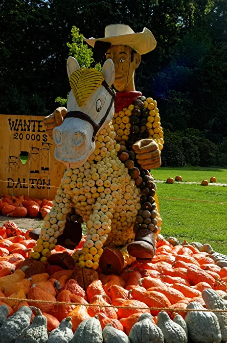 Lucky Luke & Jolly Jumper