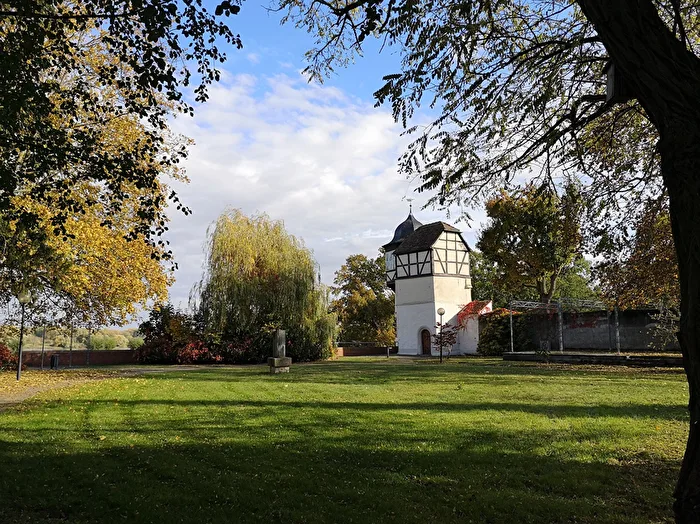 Fall Foliage in the Park