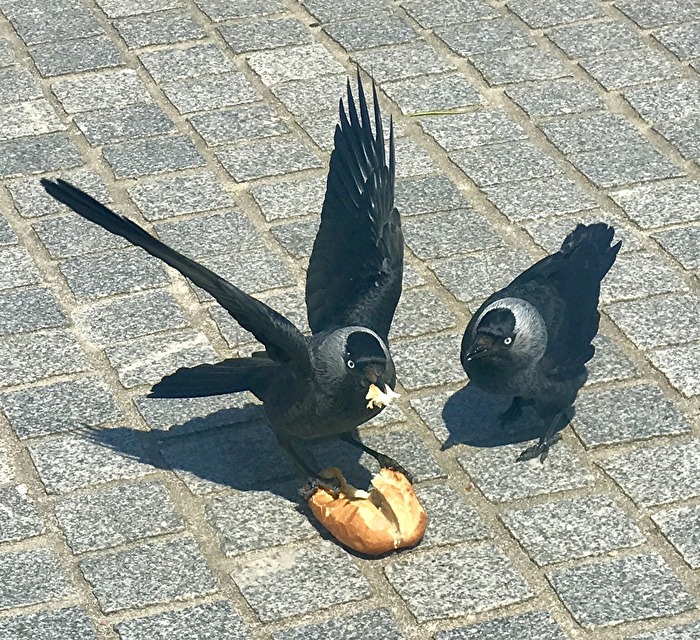 Auf der Strandpromenade auf Föhr