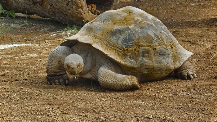 Mal langsam gehen lassen.