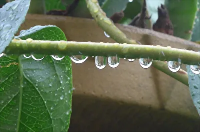 Regenwetter