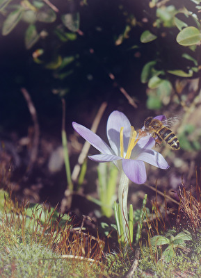 Erster Besucher in 2021