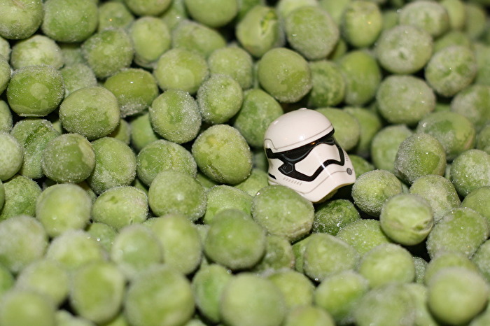 grün schlechte Tarnung