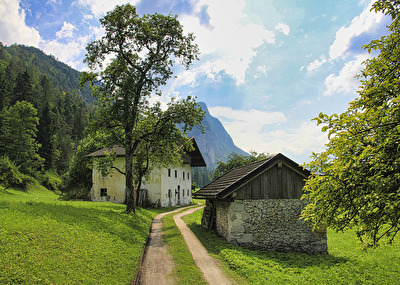 Österreich 3