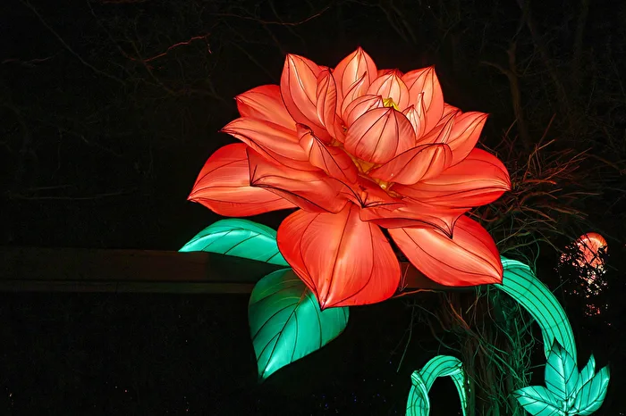 Die Blume