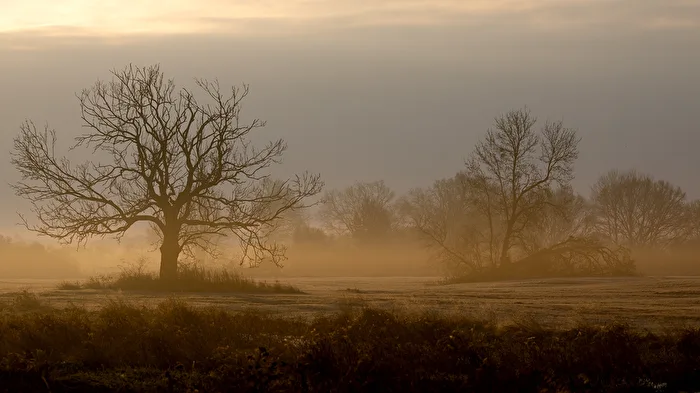 Die frühe Morgenstunde