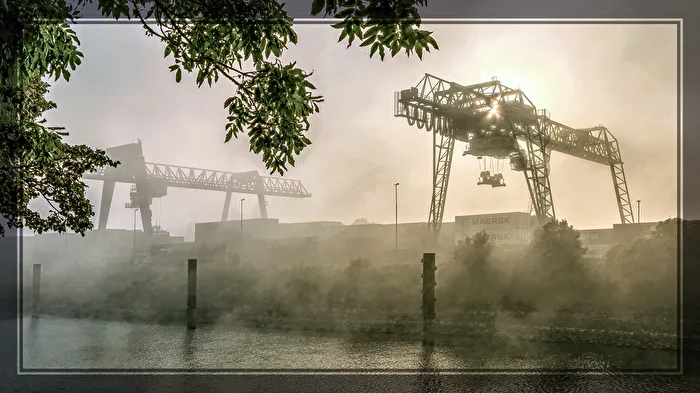 Kran im Nebel