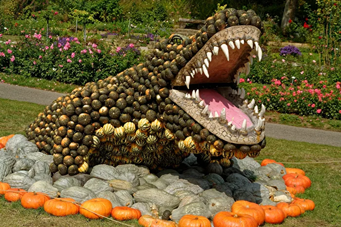 Crocodile