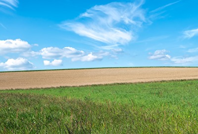 auf der Höri / Bodensee