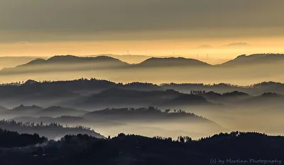 Schwarzwald