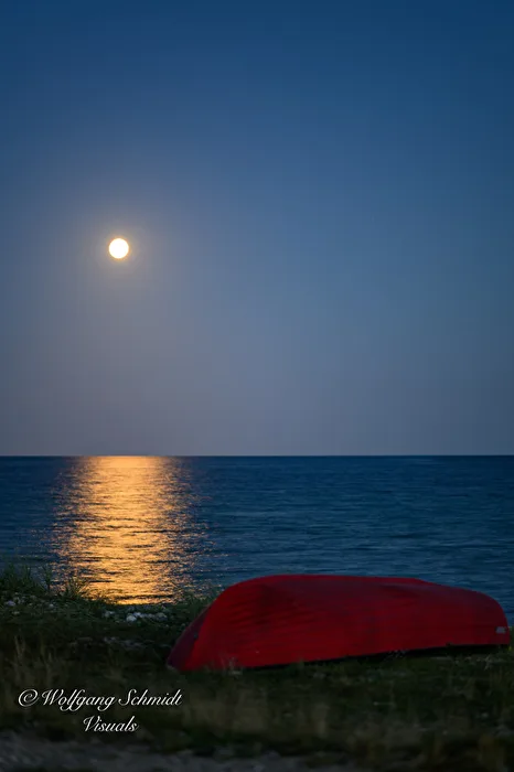 Moonlight serenade