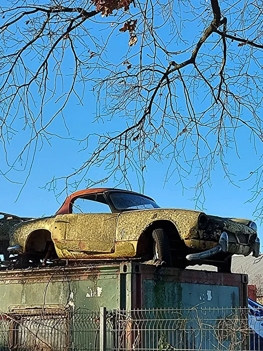 Car Graveyard