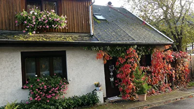 Farbenpracht