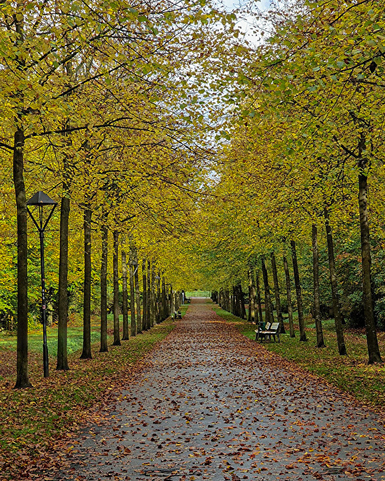 Herbst "Schloß Nordkirchen"