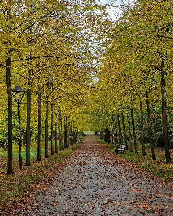 Herbst "Schloß Nordkirchen"