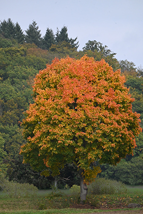 Herbstimpressionen