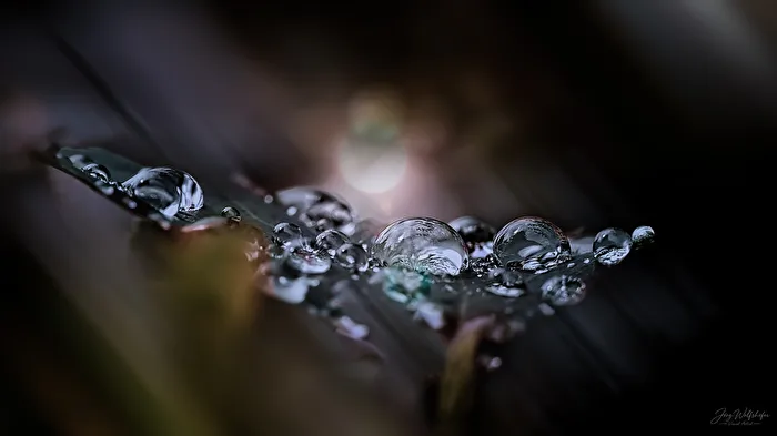 Drops