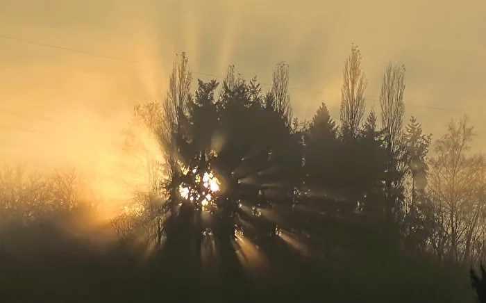 November Fog 6