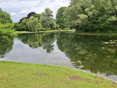 Spiegelungen