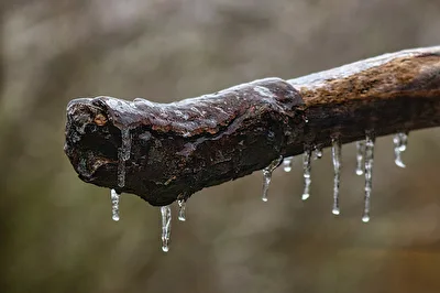 winter