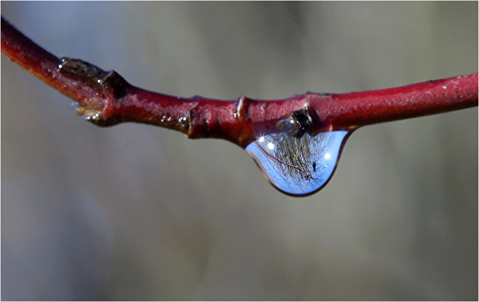 Nach dem Regen