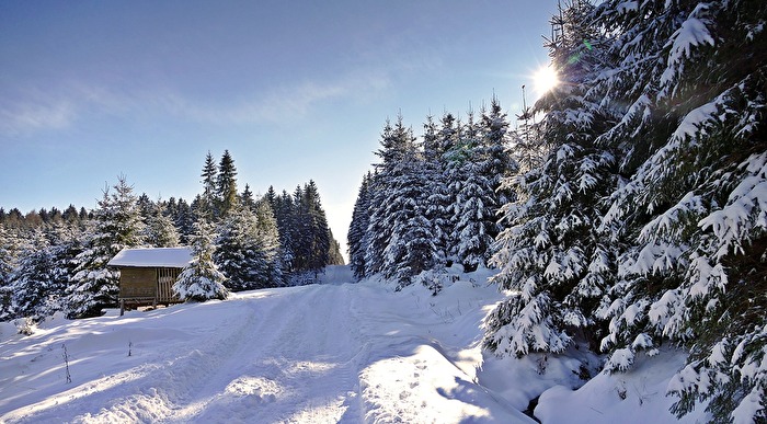 Vogtland im letzten Schnee?