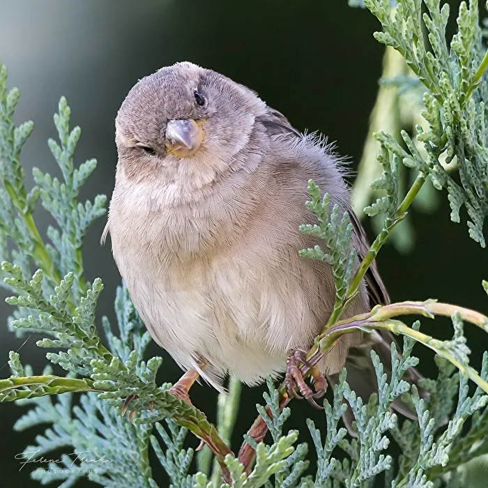 Was guckst du?!
