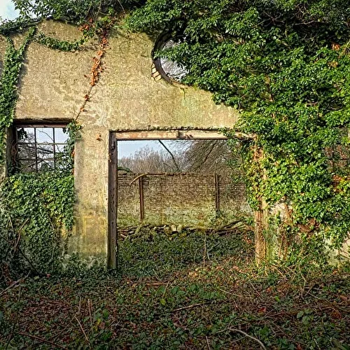 Fotowettbewerb "Rückkehr der Natur"