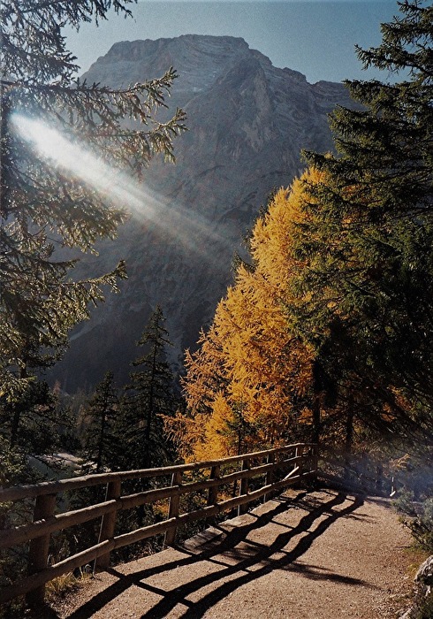 Am Pragser Wildsee Südtirol2001