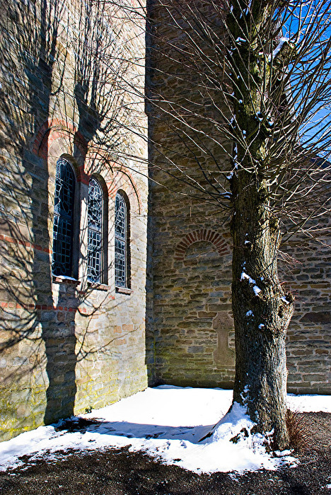 Schattenwurf  "Der Baum..."