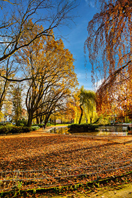 Indian Summer