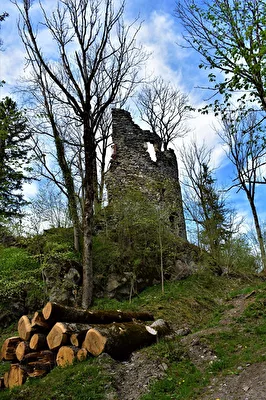 Burgruine Fluhenstein
