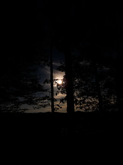 Silhouette: The autumn 🍂 is approaching