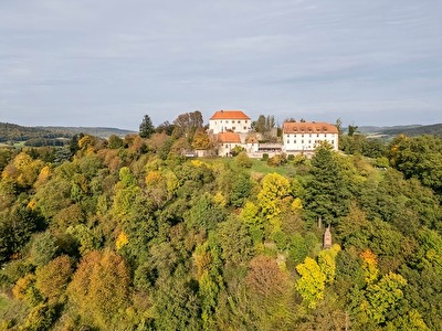 Schloss Reichenberg bei Reichelsheim/Odw.