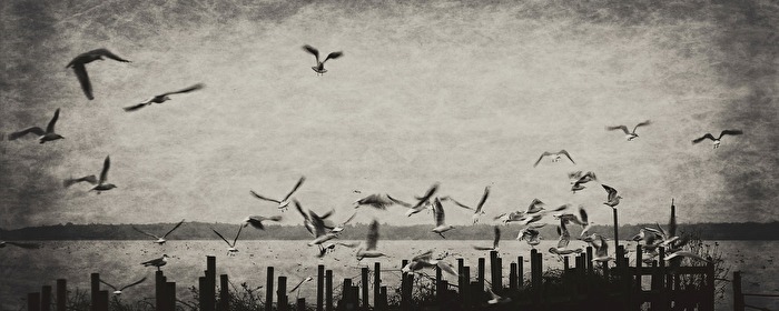 Schmuddelwetter in Bad Zwischenahn