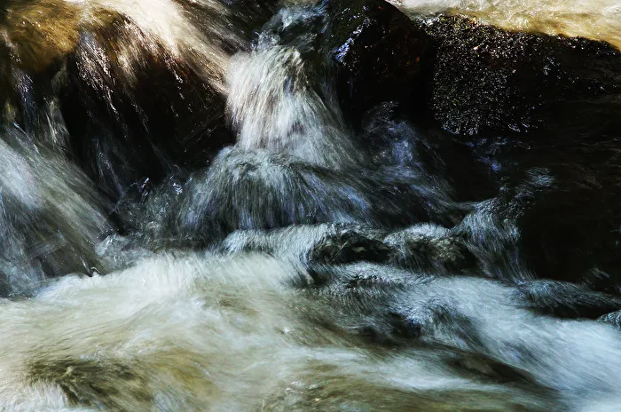 Wasser ist Leben!