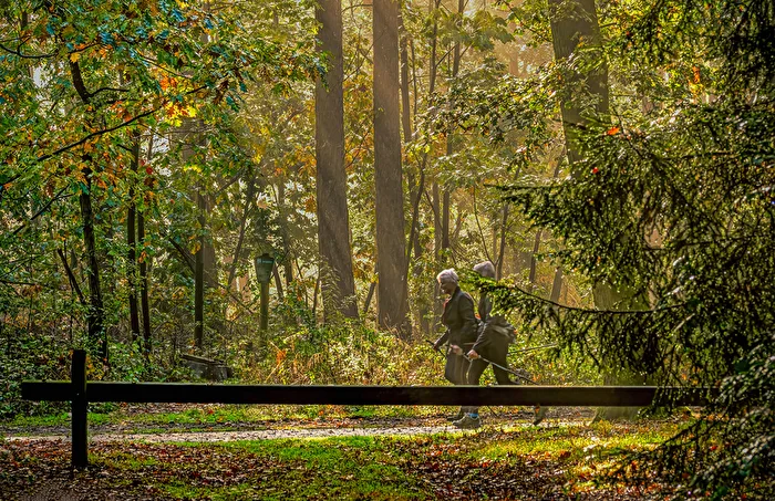 I am walking