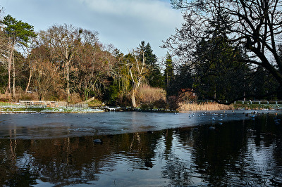 18.12.2018 erste Fototour mit Bruders Kamera.