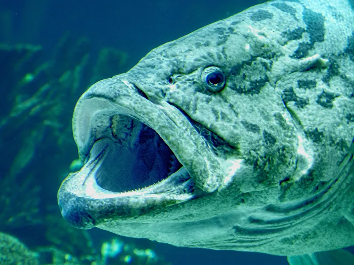 Unterwasser