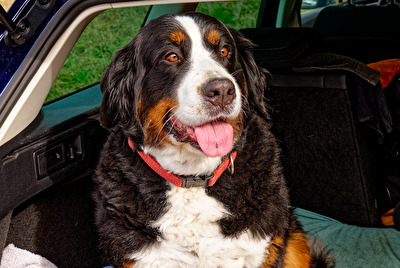 … wann geht es endlich los?