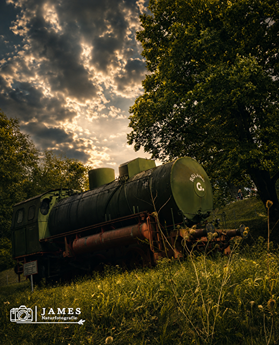Forgotten locomotive in the golden evening light