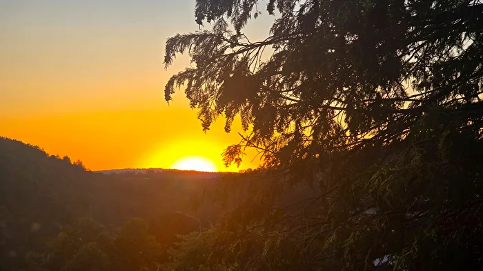 Sundowner