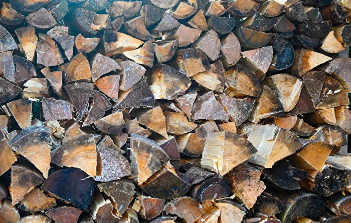 Holz vor der Hütte