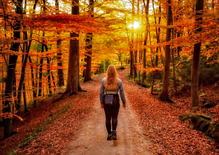 Herbst (mit KI erstellt)